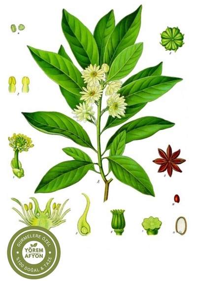 Yörem Afyon Gurme Tariflerin Yıldızı Doğal Bütün Yıldız Anason Illicium Verum 40gr.