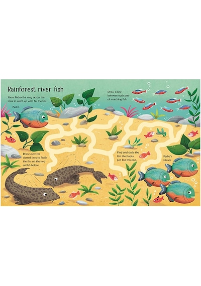 Wipe Clean Aquarium Activities Usborne