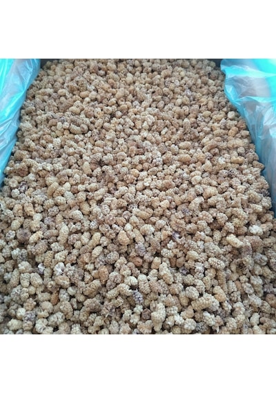 Toptan Elazığ Çekirdeksiz Kuru Dut Ekonomik 10 Kg Diğer