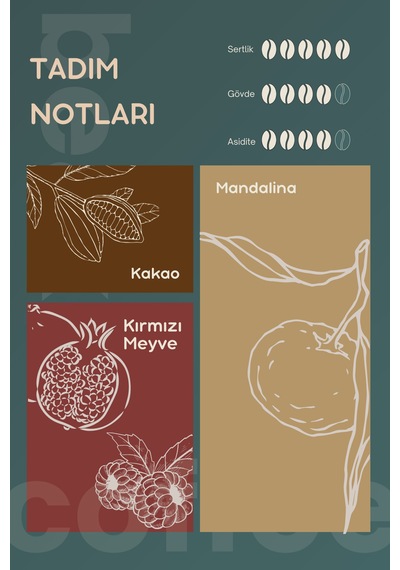 Guatemala Bella Vista Çekirdek Kahve 250 Gr , %100 Arabica Çekirdek Kahve