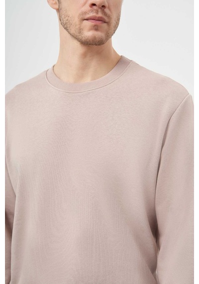 Morven Erkek Taş Basic Bisiklet Yaka Sweat-shirt 25ks063005870 Taş Taş