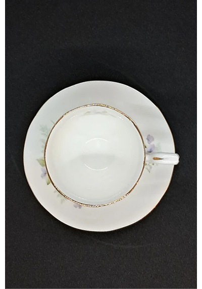 Bone China Mavi Güzellik Antika Porselen Duble Kahve Fincanı 2 Parça 120 Ml