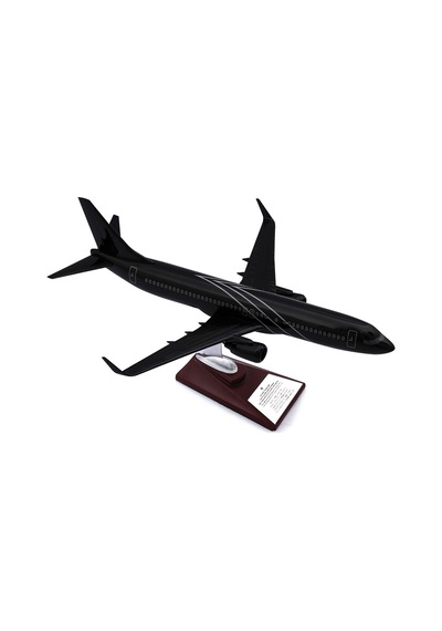 Zekupp - Maket Uçak - Boeing 737-800 1/100 - SİYAH ÖZEL TASARIM Model Uçak