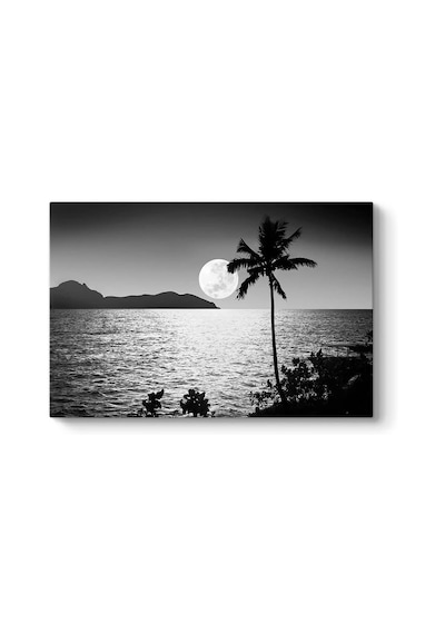 Yakamoz Tablosu 75 X 50 -