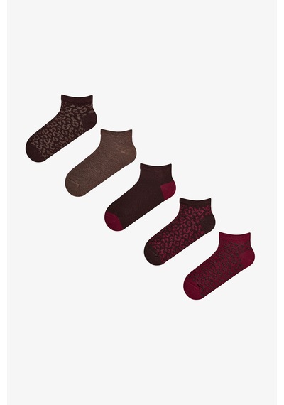 Penti Bordo Kahverengi Leopar Everyday 5 Çift Patik Çorap Bordo Kahverengı Penti Bordo Kahverengi Leopar Everyday 5 Çift Patik Çorap Bordo Kahverengı