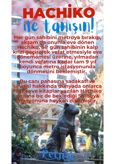 Petjoo 19.Hachiko Mavi-Kırmızı Qr'lı Köpek Künyesi