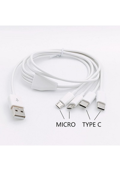 Alfais 4758 4 İn 1 Şarj Kablosu 2x Type-c 2x Micro Usb Çoklayıcı
