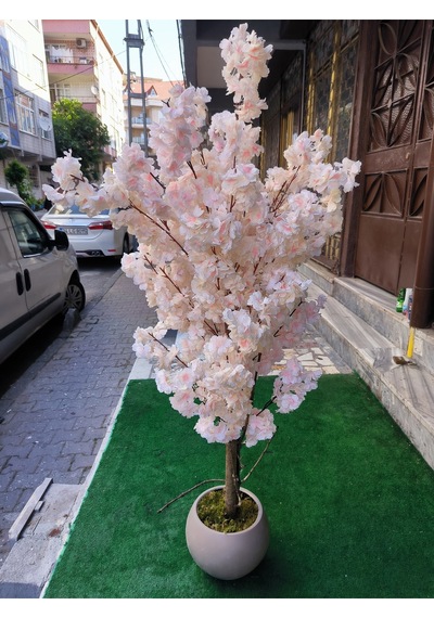 Rüzgar Yapay Çiçekçilik 150 Cm Yükseklikte Bahar Dalı Ağacı Krem