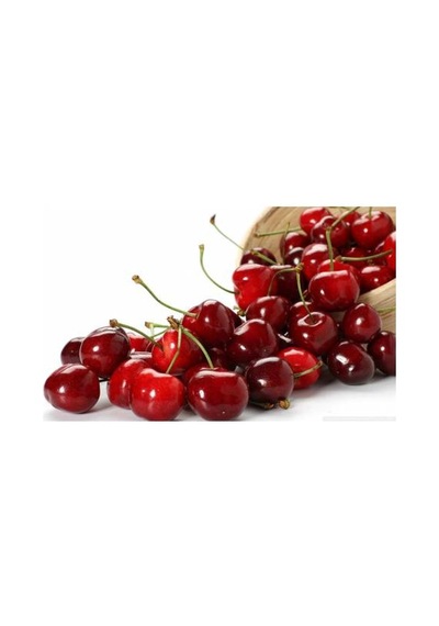 Tüplü Aşılı 2 Yaş Kütahya Vişne Fidanı 100-120 Cm