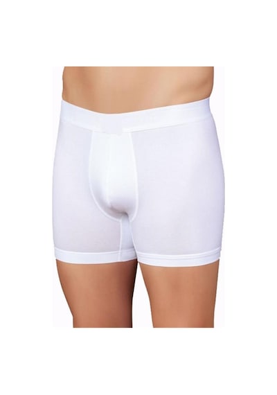 Şahinler Erkek Likralı Boxer Renk Seçenekli E031