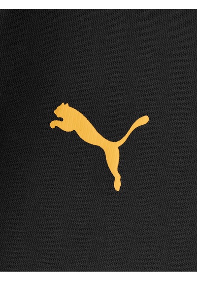 Gsstore Galatasaray Puma Çocuk Kapüşonlu Sweatshirt 78291426 Siyah