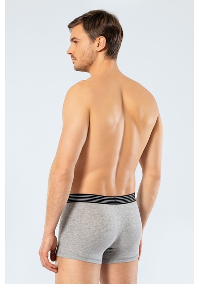 Cacharel Erkek 2'li Boxer Düz 1318/gri Gri