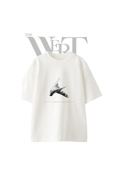 Thewert Falling Bird Tasarım Baskılı Ünisex Beyaz Oversize T-shirt