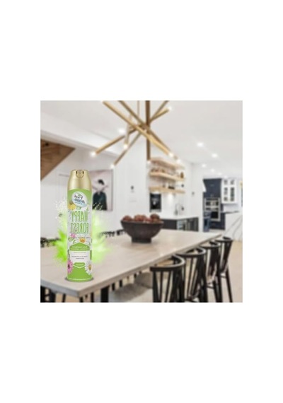 300 Ml Ferahlatıcı Aerosol Koku - Araç Ve Oda İçin