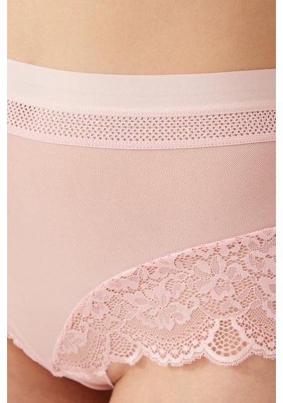 Cottonhill Dantel Detaylı Transparan Büyük Beden Bikini Külot 3'lü Paket-2 Çok Renkli 2