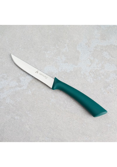 Aryıldız Mira Sebze Bıçağı 11 Cm Renkli