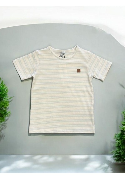 Nanica Kids Erkek Çocuk Çizgili T-shirt-14073-krem Krem