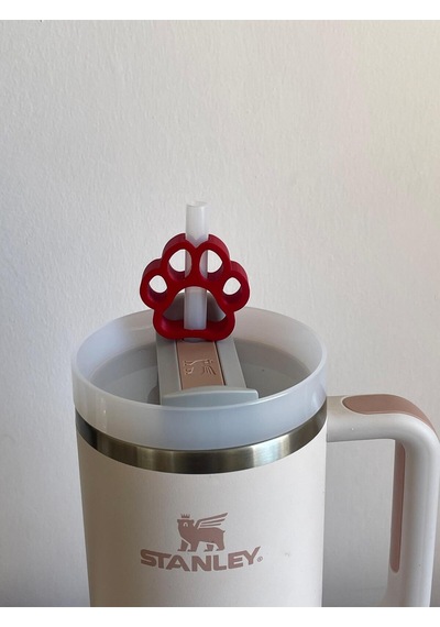 Pati Koruyucu Model Pipet Süsü Termos Uyumlu Quencher İle Uyumlu Kırmızı