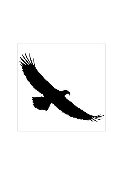 Kartal Folyo Sticker Derstv749 130cm Uzunluk Siyah
