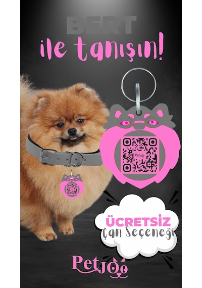 Petjoo 13.Bert Pembe-Gri Qr'lı Köpek Künyesi