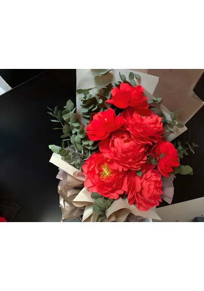 İtalyan Krapon Kağıdı No:312 Vivo Red 60 Gr. 50 25 Cm
