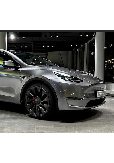 Tesla Model 3 Quicksilver Civa Grisi Profesyonel Rötuş Boyası 30ml, Pr00flea Tek Renk