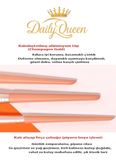 Daily Queen Yüksek Kalite 11 Li Şanpanmay Renk Makyaj Fırça Seti