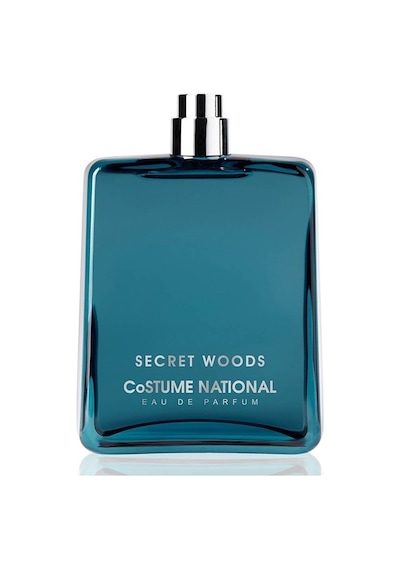Costume National Secret Woods Erkek Parfüm EDP 100 ML