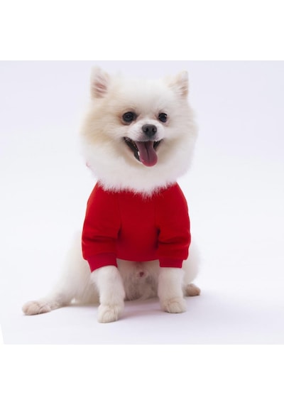 Pettrend Kırmızı Kanguru Cepli Kedi Köpek Hoodie Sweatshirt