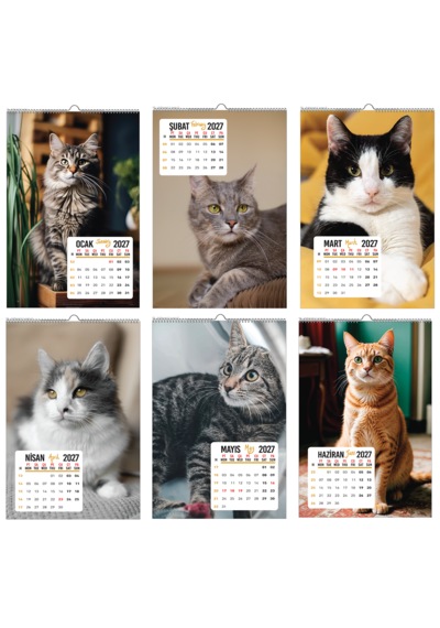 2027 Kedi Duvar Takvimi 33x48 Cm Ebat-12 Sayfa Beyaz