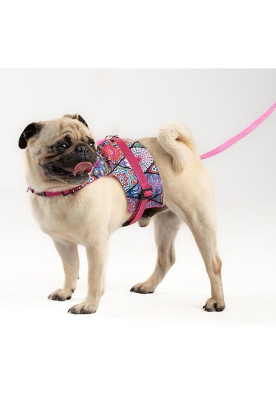 Kaçış Önleyici Ayarlanabilir Küçük Irk Ve Büyük Irk Köpek Göğüs Tasma Seti Ve Gezdirme İpi Etnik Pembe, M