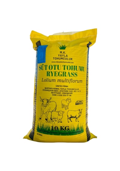 Süt Otu Tohumu RyeGRass Rye GRass ReyGRas 10 KG