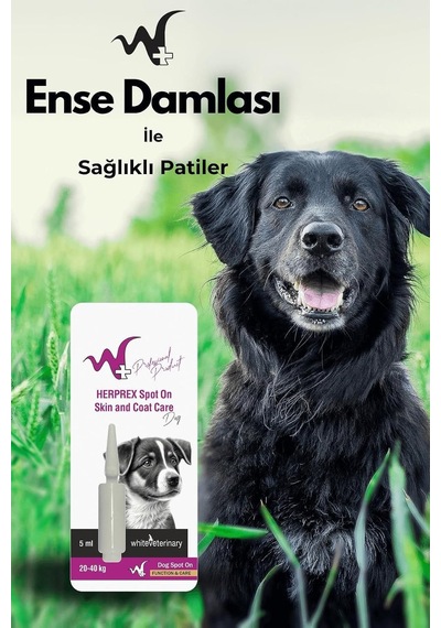 Whiteveterinay Köpek Damlası Bit Ve Pire 20-40kg 1ml