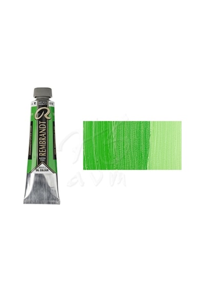 Rembrandt 40 ML Yağlı Boya Seri:3 No:618 Perm Green L