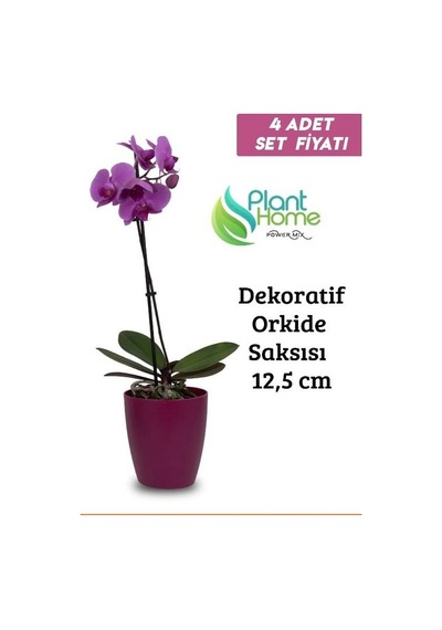 Dekoratif Vişne Orkide Saksısı - 4 Adet Set  - 12 Pot Üretim Saksısına Uygun