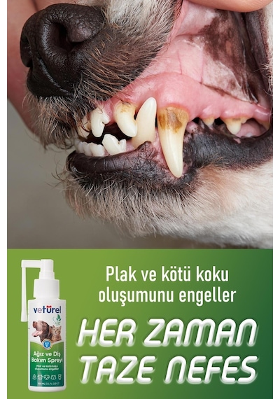 Veturel Köpek Pati TemizlemeTüy Bakım 300 ML + Ağız ve Diş Bakım Spreyi 100 ML