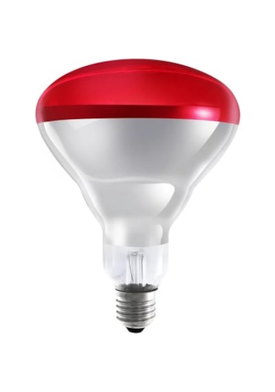 Ledvance Infrared Ampul-kırmızı 250w Isıtıcı