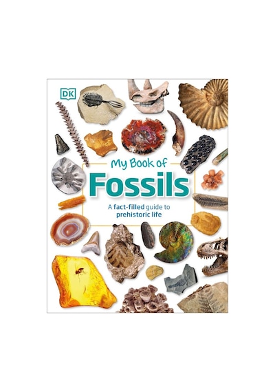 My Book Of Fossils - My Book Of