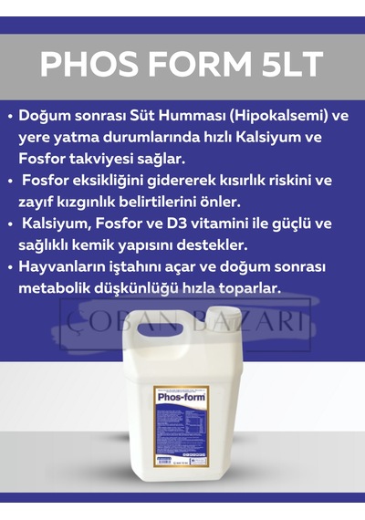 Royal Phos Form Kanatlılarda Gagalama, Amino Asit Desteği İle Gelişim 5 Lt