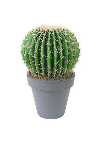 Yapay Altın Fıçı Barrel Kaktüs 55 Cm-2193