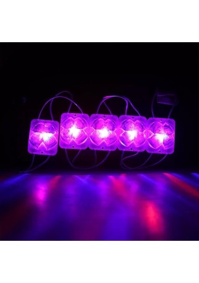 Hubrendy Sh Powermaster Pm-14717 12 Volt 2 Watt Karışık R+b Yanıp Sönen Çakar 4333-3030 Modül Led