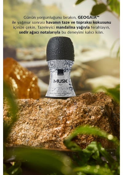 Musk Rain Erkek Parfüm Ve Rollon Paketi Odunsu