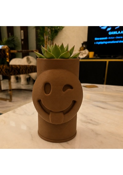 3d Baskı Emoji Planter - Göz Kırpan Yüzlü Sukulent Saksısı-kahverengi Çok Renkli