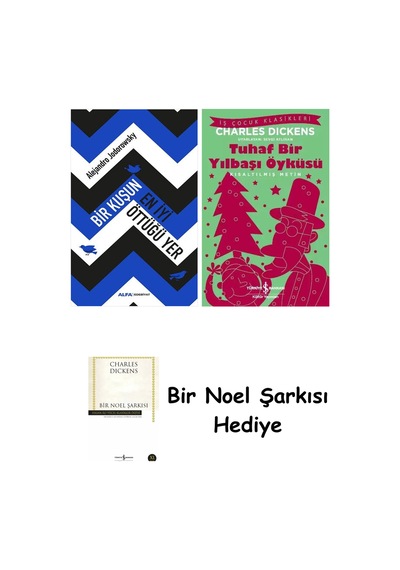 Bir Kuşun En İyi Öttüğü Yer + Tuhaf Bir Yılbaşı Öyküsü + Bir Noel Şarkısı