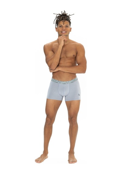 U.S. Polo Assn. U.s Polo Assn. 80543 Erkek Pamuklu 3'lü Boxer-lacivert&indigo&gri Lacivert&indigo&gri