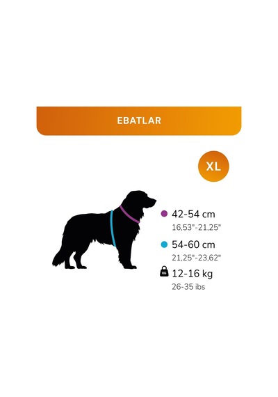 Köpek Ve Kedi Göğüs Tasması Xl Nefes Alabilen File Kumaş Ayarlanabilir Yelek Tasarım Yansıtıcı Şeritli Küçük Irk Köpek Ve Kediler İçin