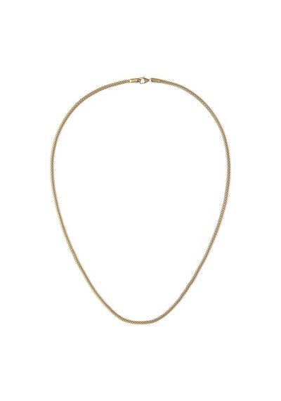 Daniel Wellington Dw00401099 Kadın Kolye Diğer