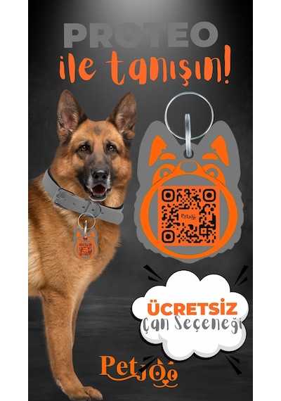Petjoo 24.Proteo Turuncu-Gri Qr'lı Köpek Künyesi