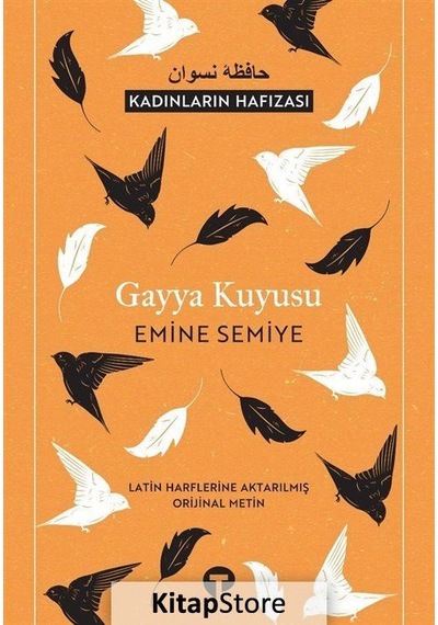 Gayya Kuyusu / Emine Semiye N11.2017