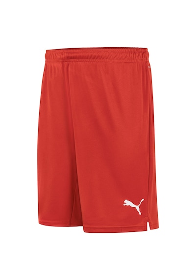 Puma Türkiye Voleybol Milli Takım Erkek Maç Şort 773517 01